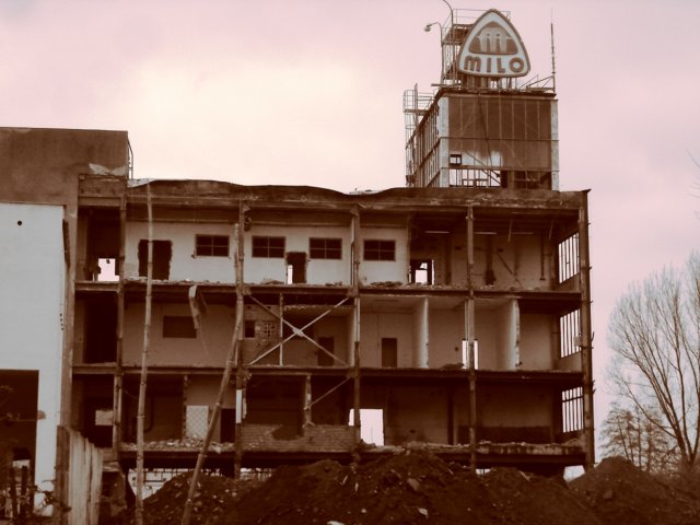 photo4.jpg