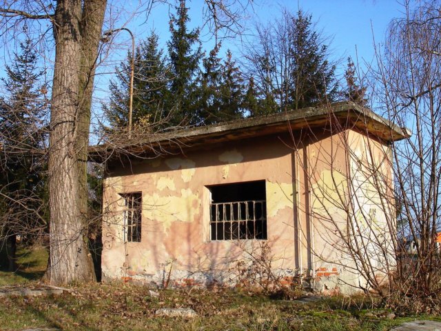 photo7.jpg