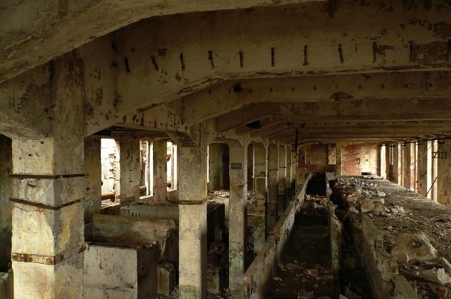 photo5.jpg