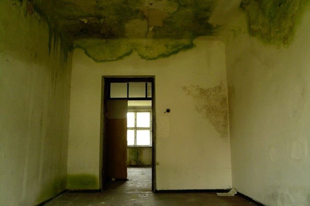photo5.jpg