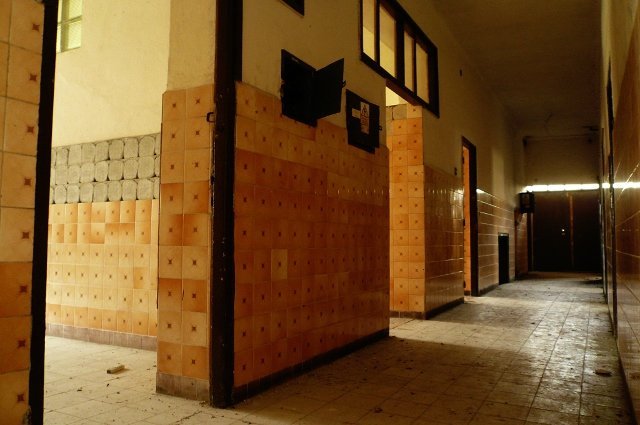 photo6.jpg