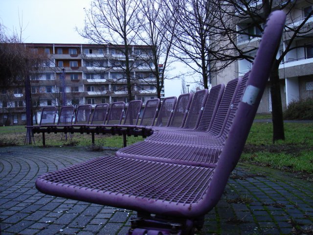 photo26.jpg