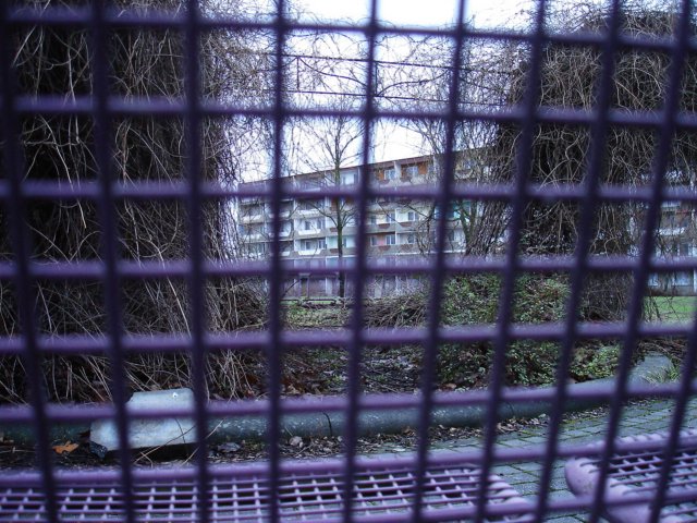 photo27.jpg