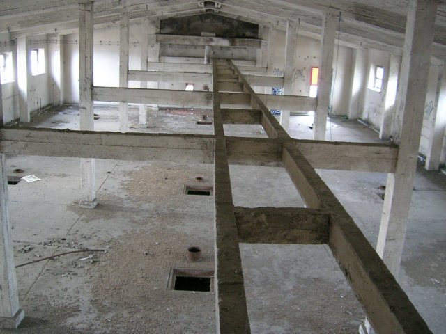 photo7.jpg