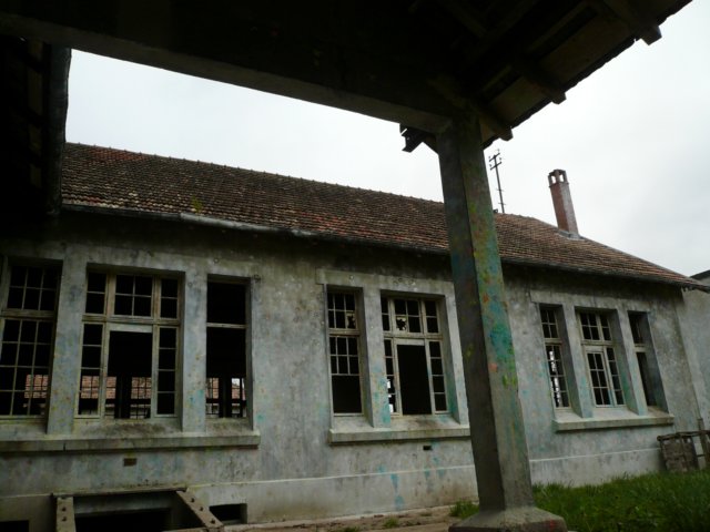 photo11.jpg