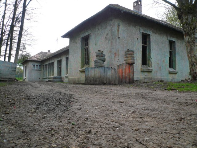 photo9.jpg