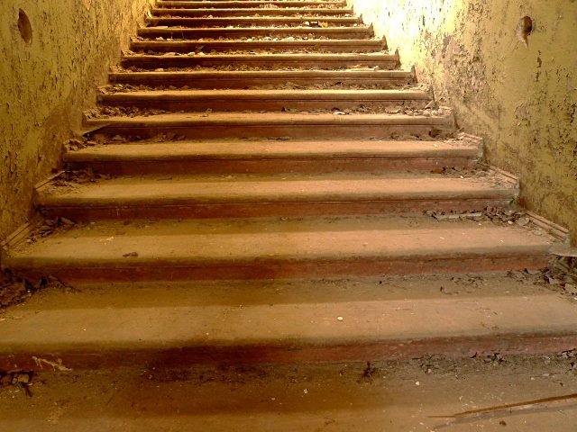 photo8.jpg