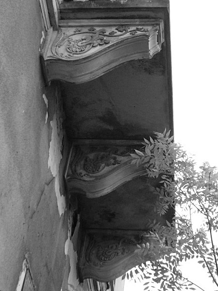 photo9.jpg
