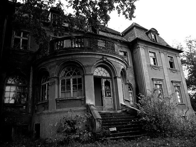 photo9.jpg