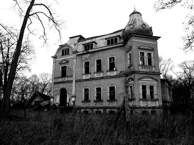 photo9.jpg