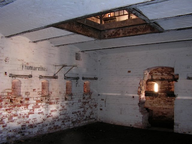 photo7.jpg