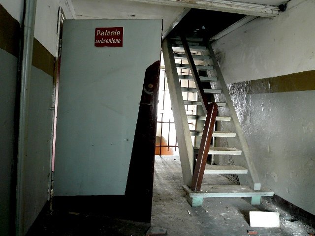 photo4.jpg