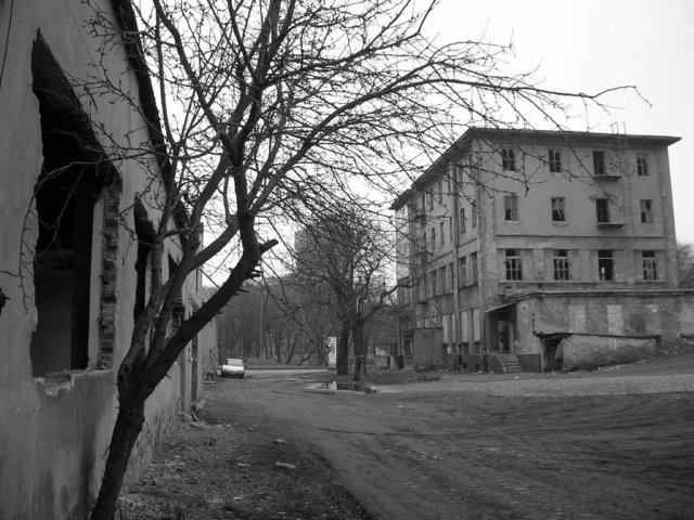 photo10.jpg