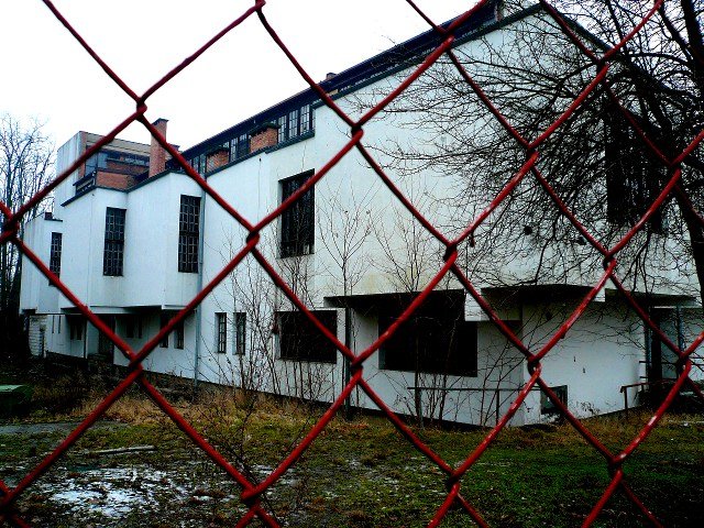 photo.jpg