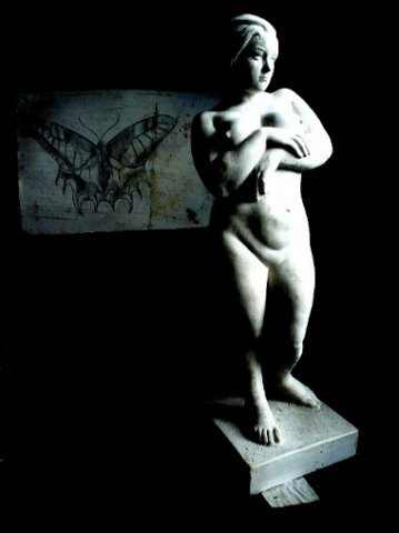 photo2.jpg