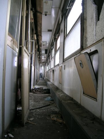 photo13.jpg