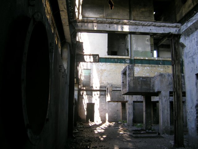 photo6.jpg