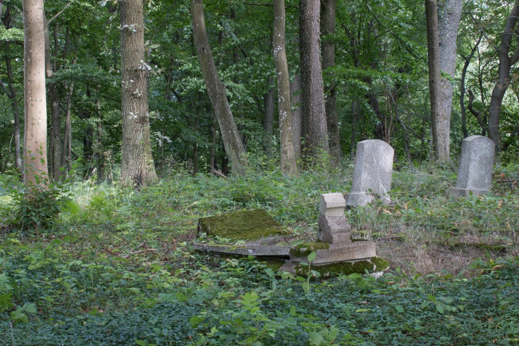 photo3.jpg