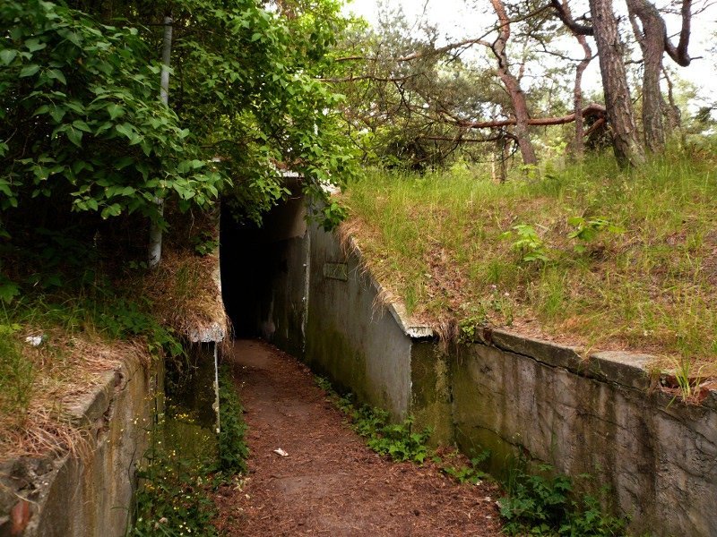 photo7.jpg