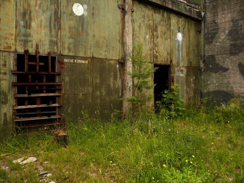 photo9.jpg