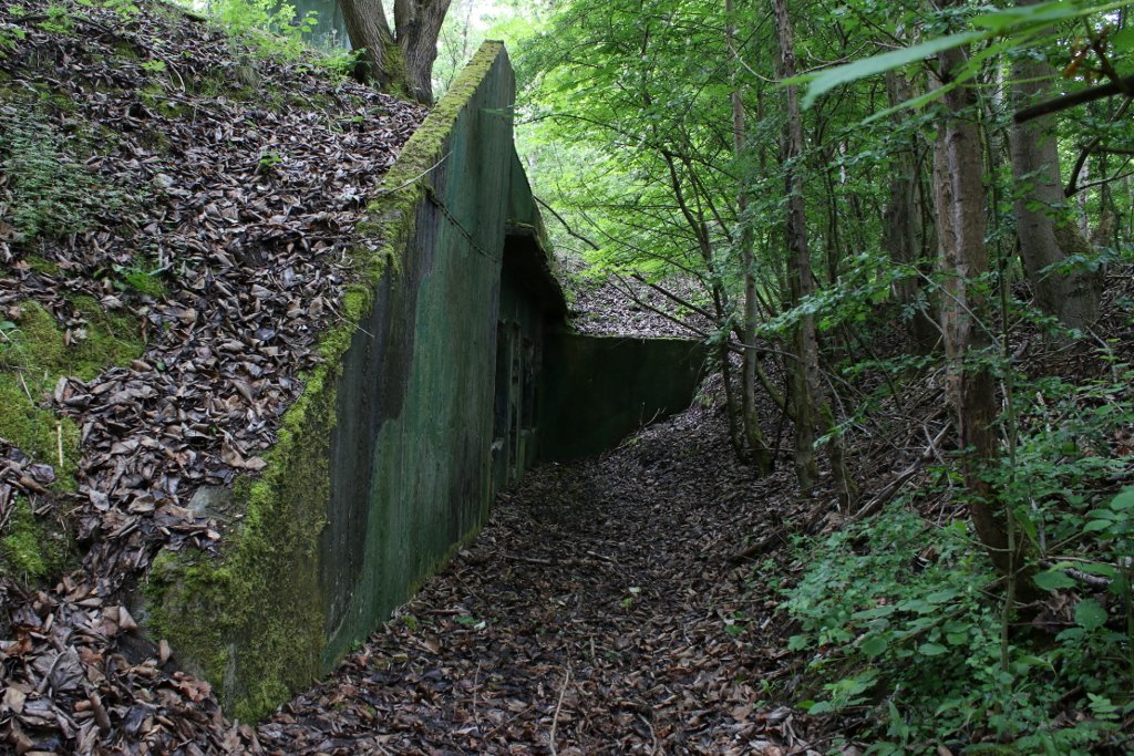 photo5.jpg