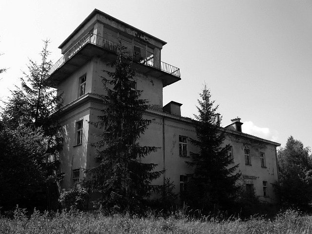 photo.jpg