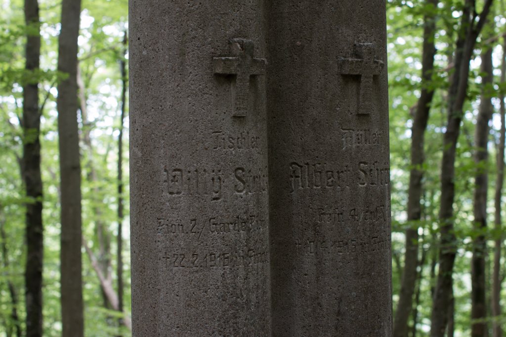 photo6.jpg