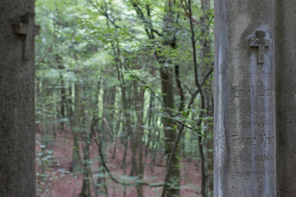 photo7.jpg