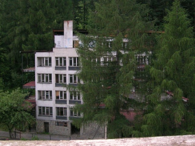 photo6.jpg