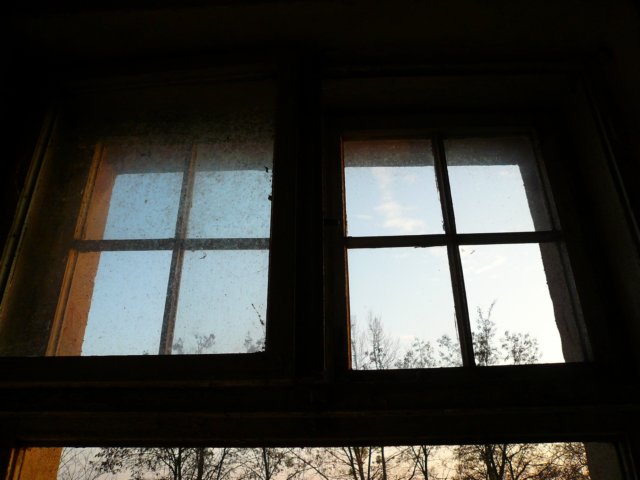 photo39.jpg