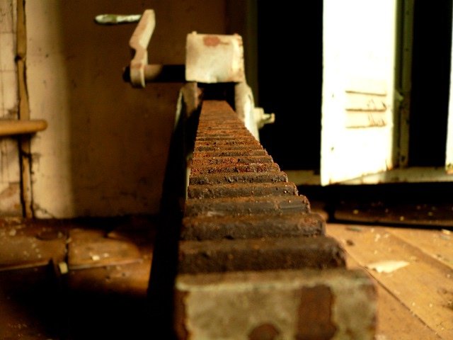 photo10.jpg