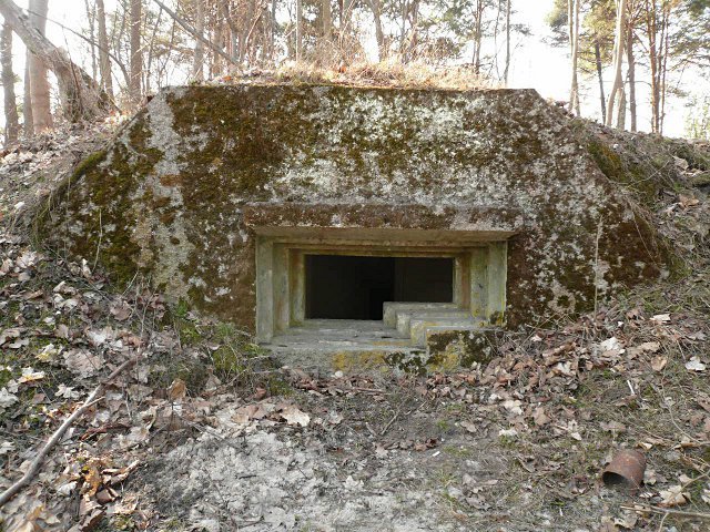 photo11.jpg