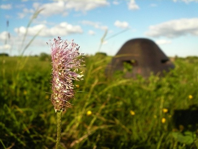 photo6.jpg