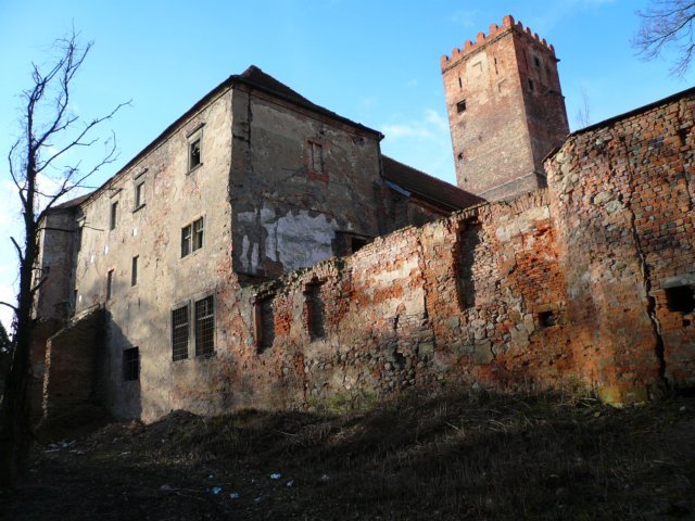 photo8.jpg