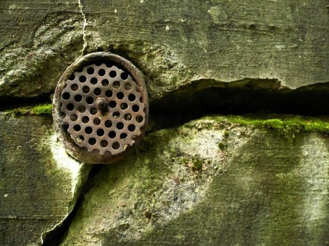 photo4.jpg