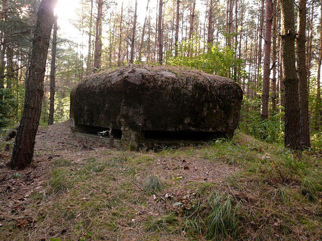 photo8.jpg
