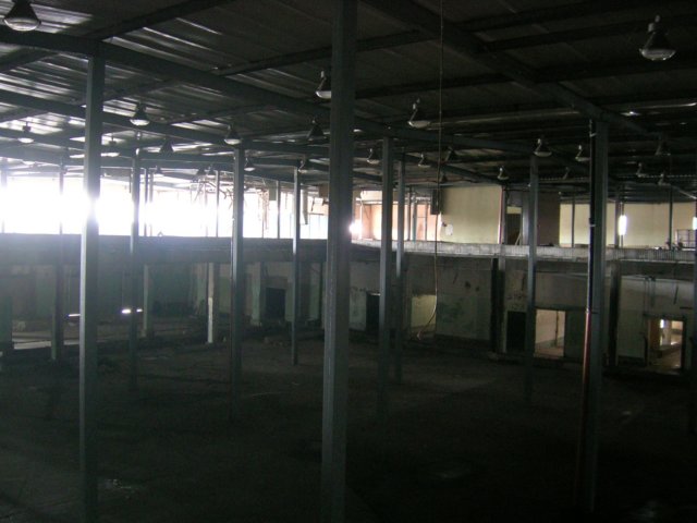 photo15.jpg