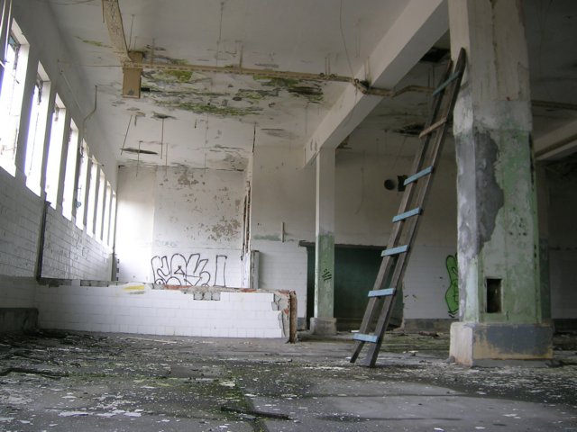photo6.jpg
