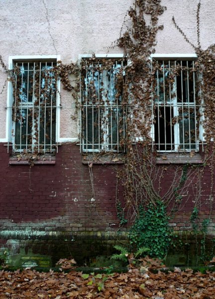 photo11.jpg
