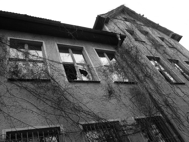 photo7.jpg