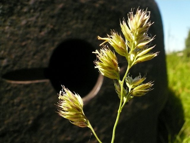 photo11.jpg
