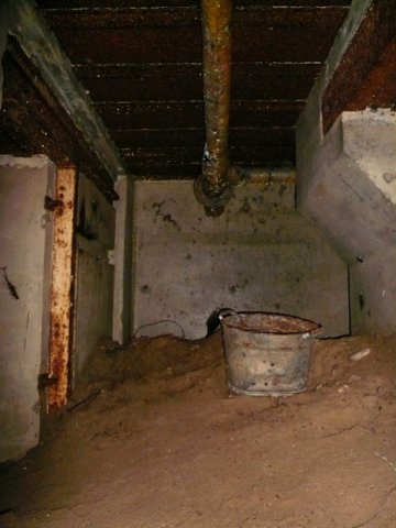 photo5.jpg