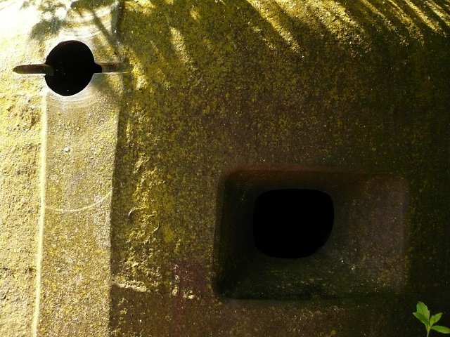 photo7.jpg
