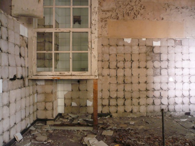 photo26.jpg