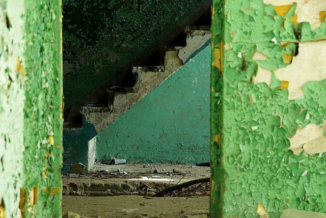 photo6.jpg