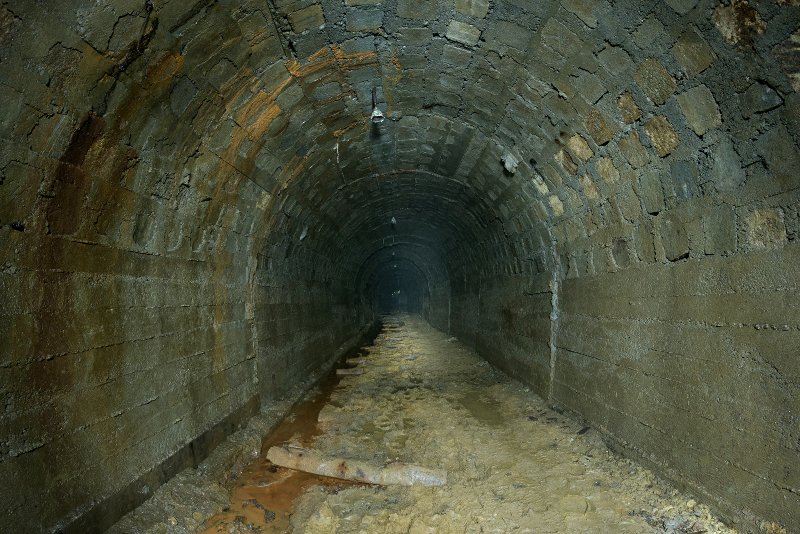 photo4.jpg