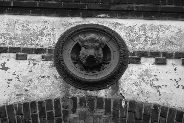 photo16.jpg