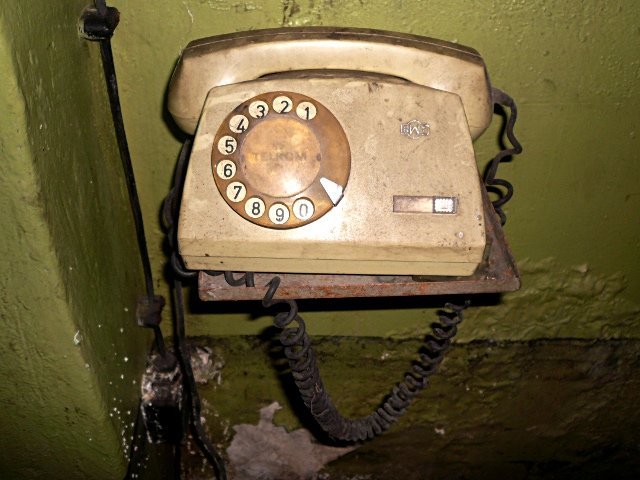 photo14.jpg