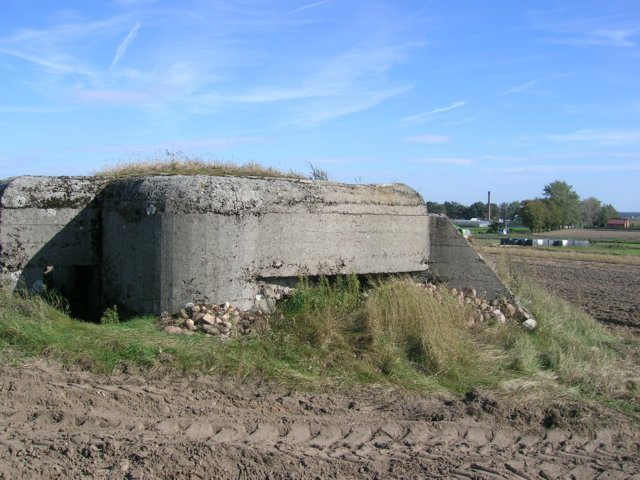 photo6.jpg
