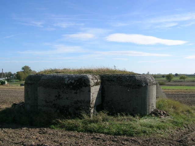 photo8.jpg
